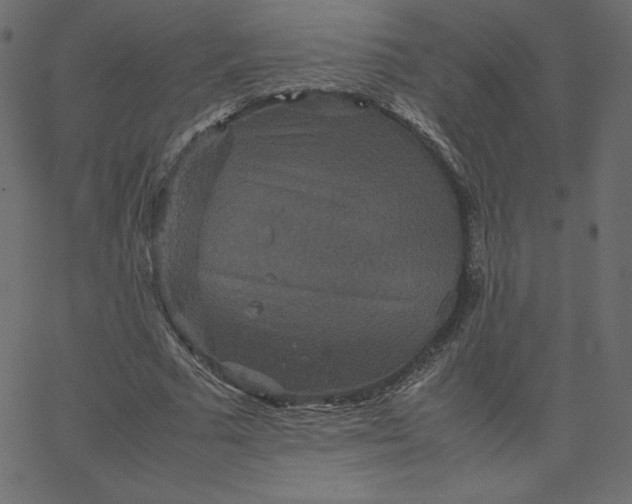 X0000067850681200604271646