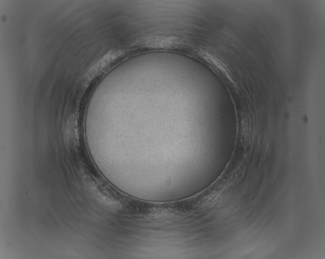 X0000067850682200604271645