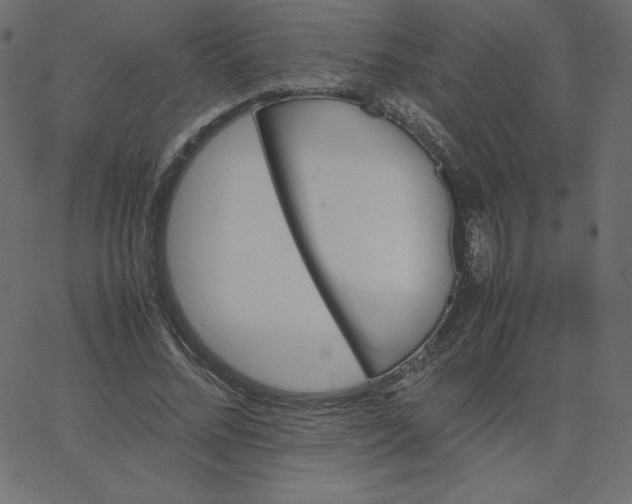 X0000067850684200604271645