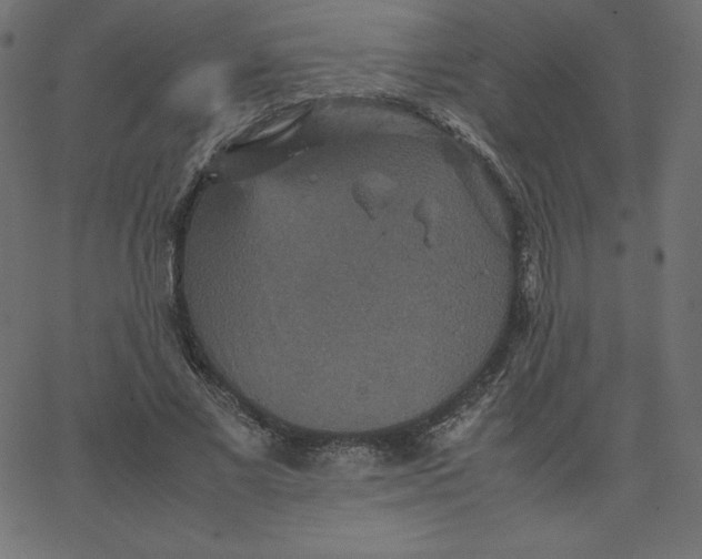 X0000067850685200604271645