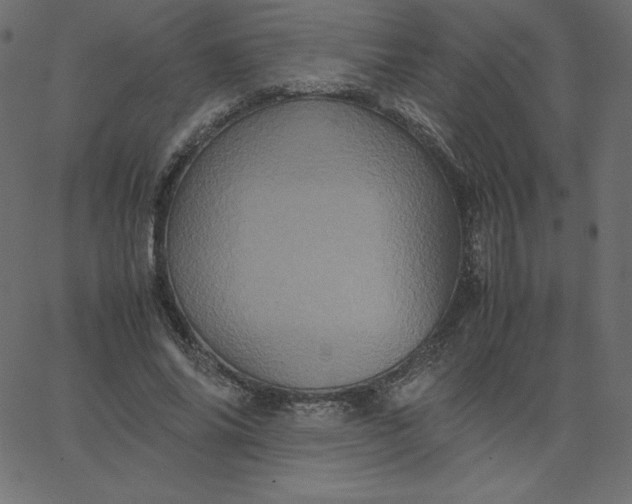 X0000067850686200604271645