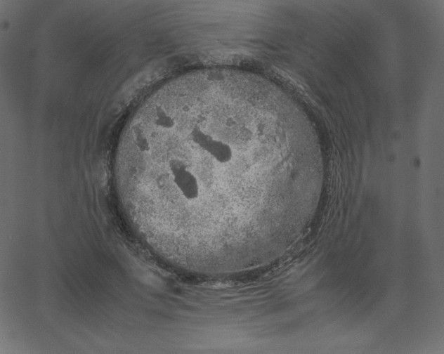 X0000067850687200604271645