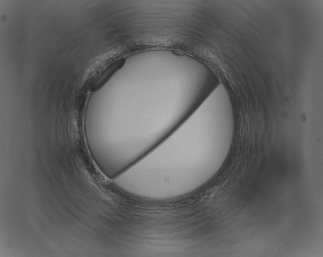 X0000067850688200604271645