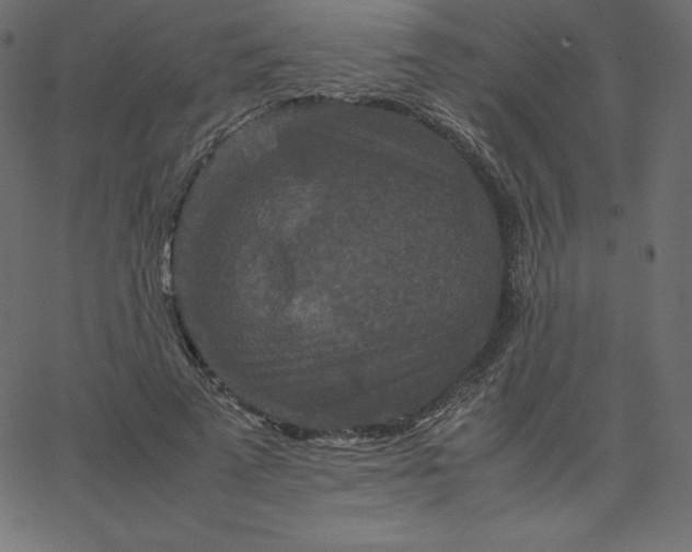 X0000067850689200604271645