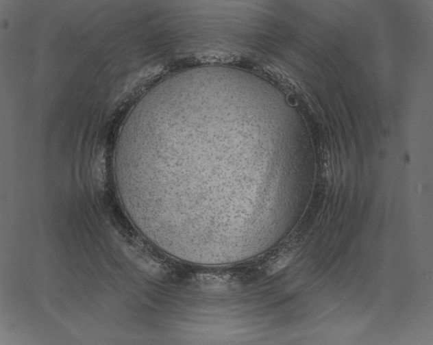 X0000067850690200604271645