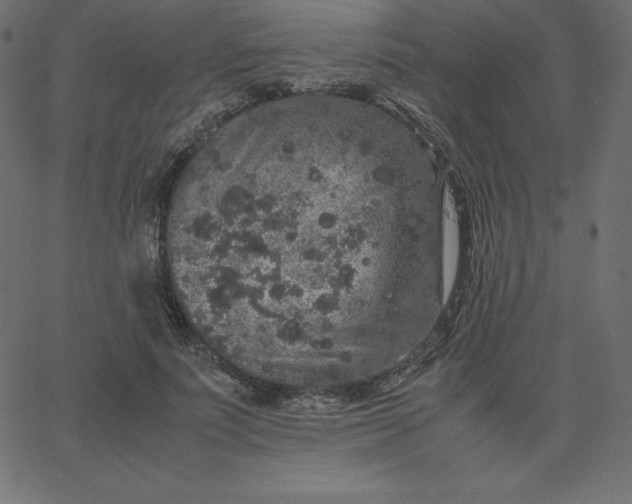 X0000067850691200604271645