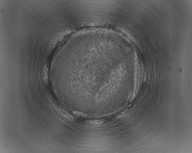 X0000067850692200604271645