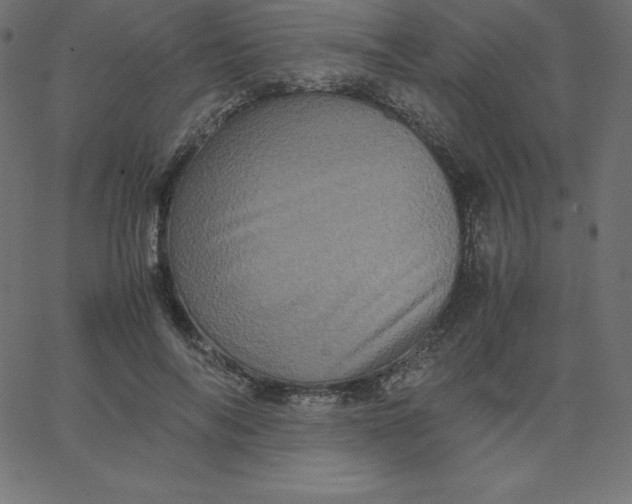 X0000067850694200604271645