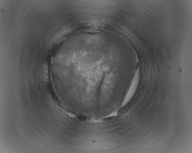 X0000067850696200604271645