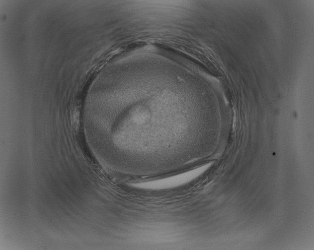 X0000067850697200604271645