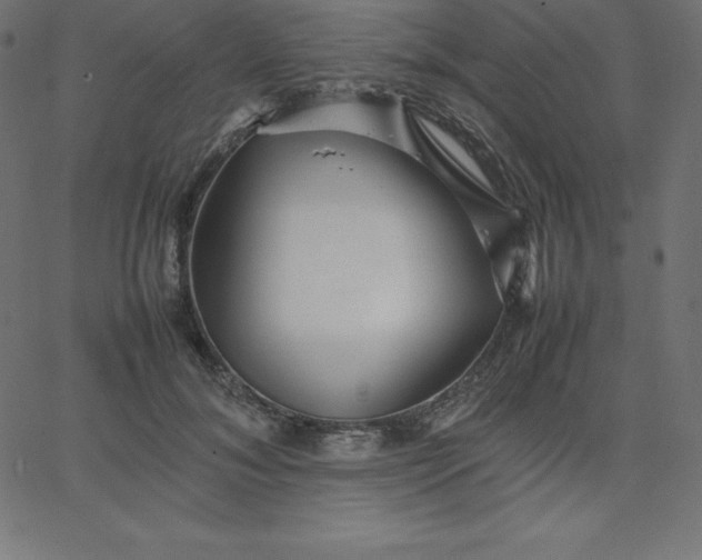 X0000067850700200604271645