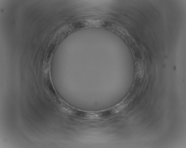 X0000067850701200604271645