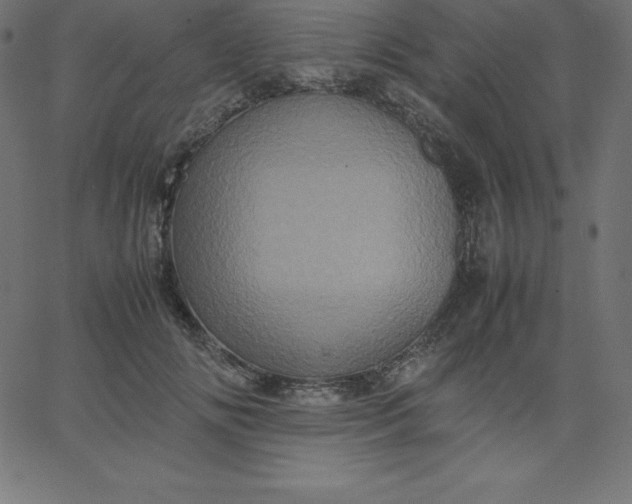 X0000067850702200604271645