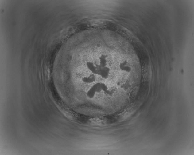 X0000067850703200604271645