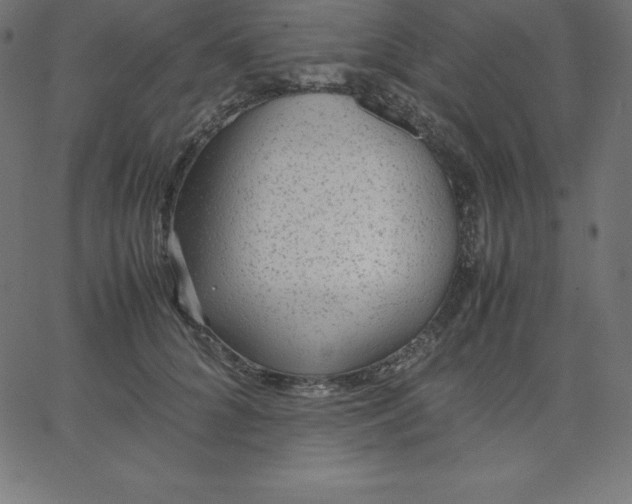 X0000067850704200604271645