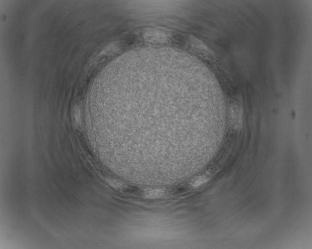 X0000067850705200604271645