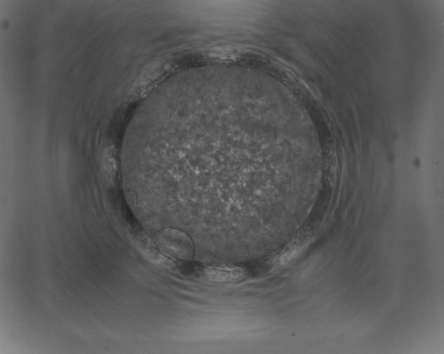 X0000067850707200604271645