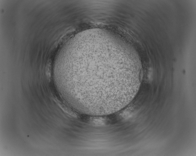 X0000067850710200604271645