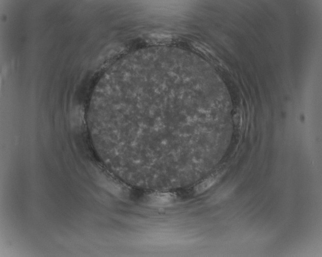 X0000067850711200604271645