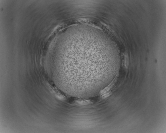 X0000067850712200604271645