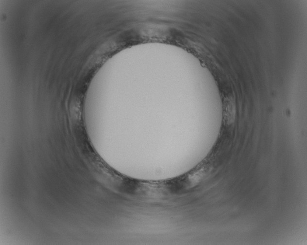 X0000067850713200604271645