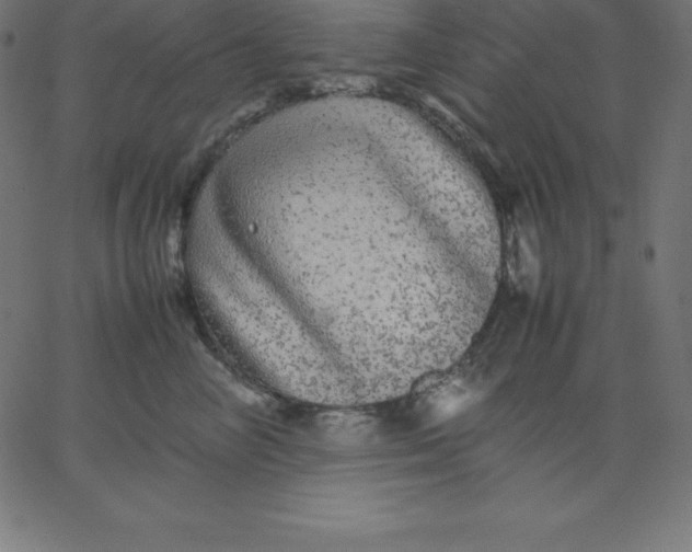 X0000067850714200604271645