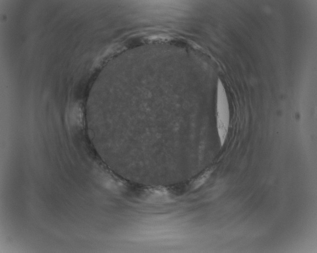 X0000067850715200604271645