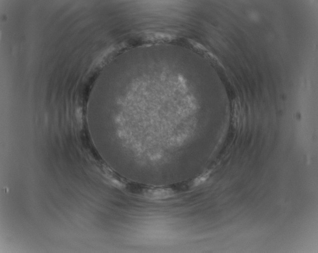 X0000067850716200604271645