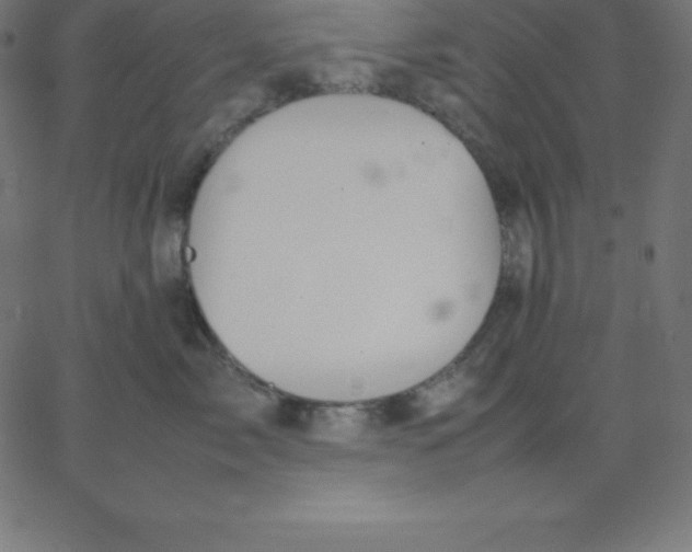 X0000067850717200604271645