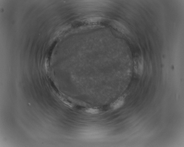 X0000067850718200604271645