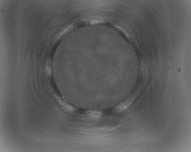 X0000067850719200604271645