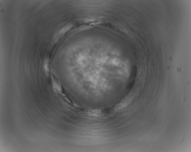 X0000067850720200604271645