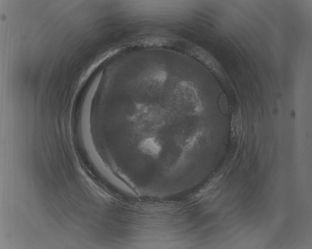 X0000067850722200604271644