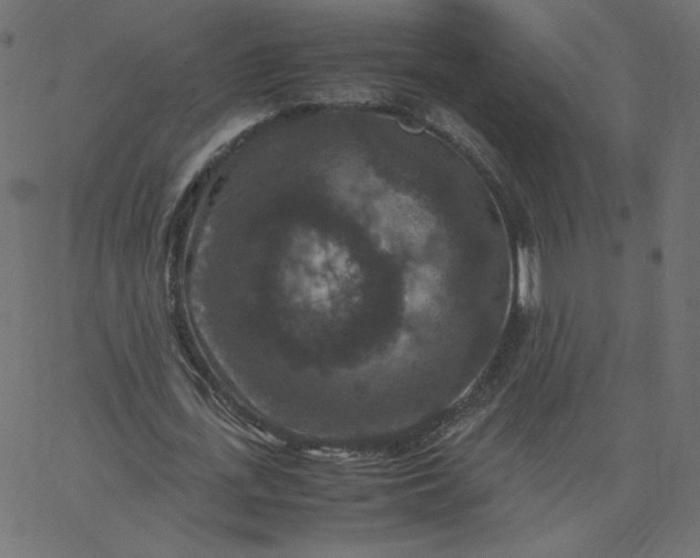 X0000067850723200604271644