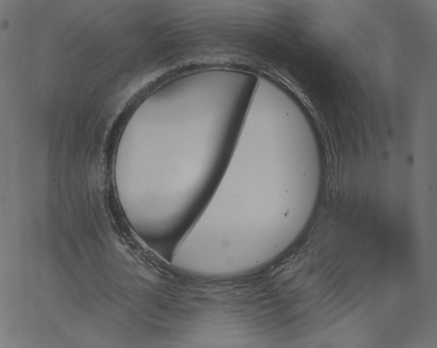 X0000067850724200604271644