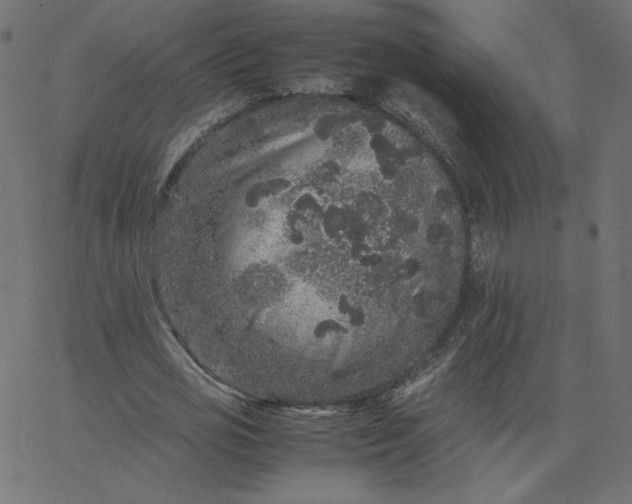 X0000067850725200604271644