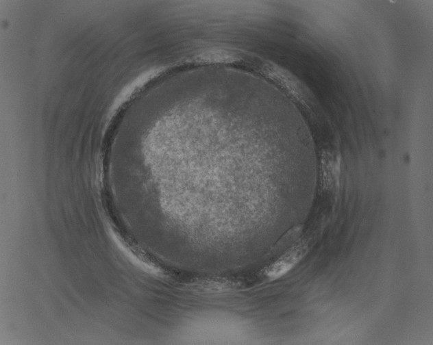 X0000067850726200604271644