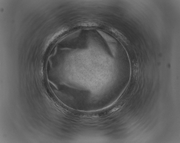 X0000067850727200604271644