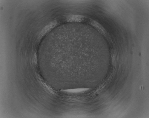 X0000067850729200604271644