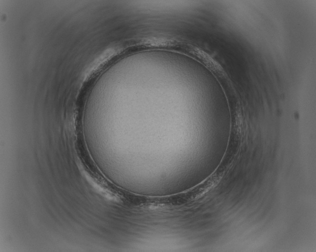 X0000067850730200604271644