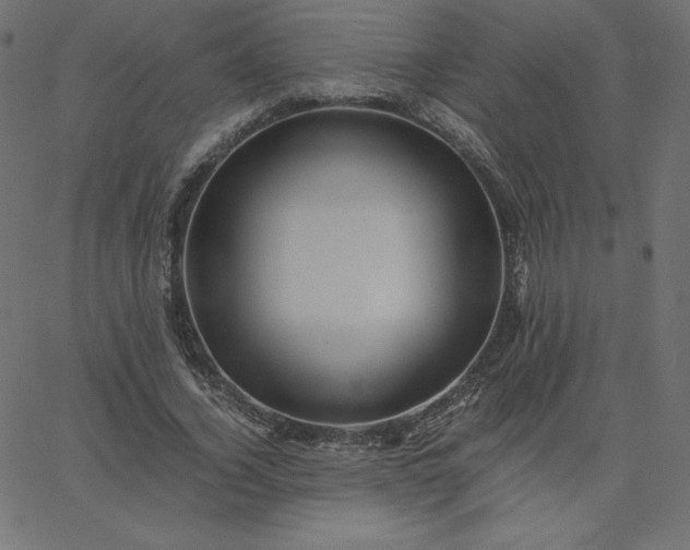 X0000067850732200604271644