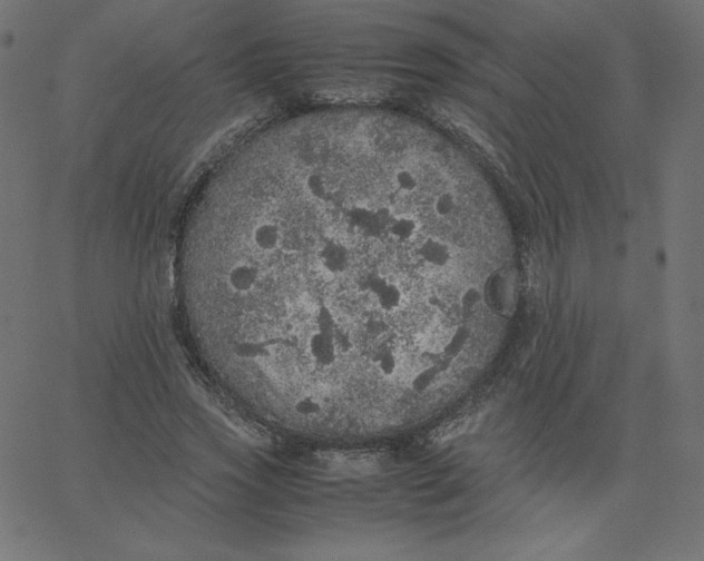 X0000067850733200604271644