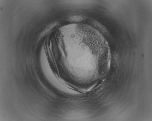 X0000067850734200604271644