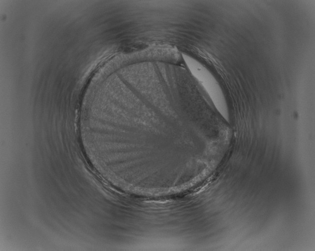 X0000067850735200604271644