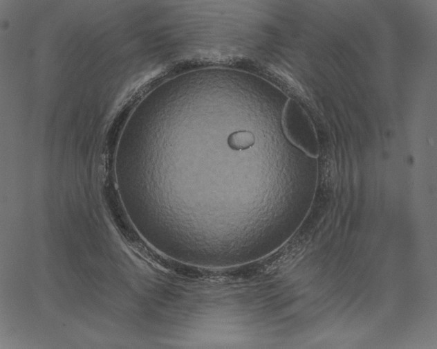 X0000067850736200604271644