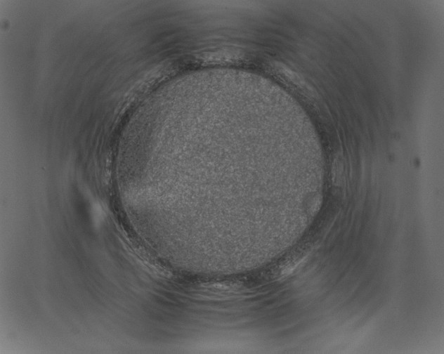 X0000067850737200604271644