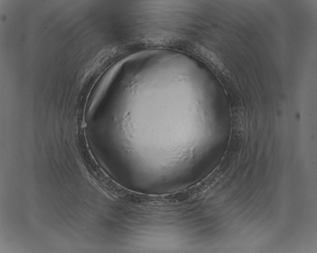 X0000067850738200604271644