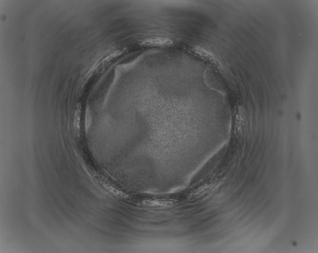 X0000067850739200604271644