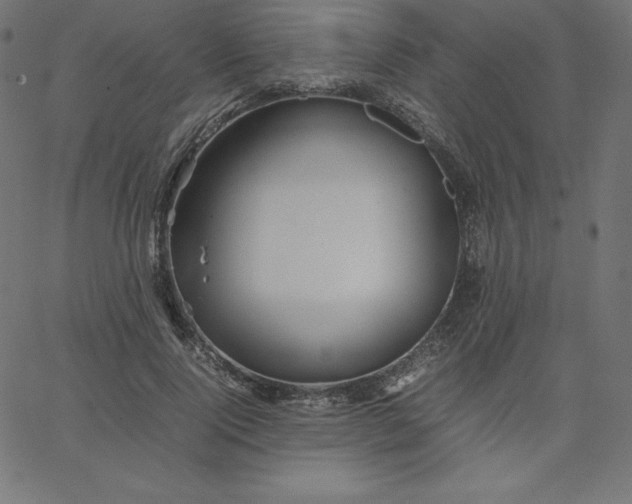 X0000067850740200604271644