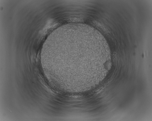 X0000067850741200604271644